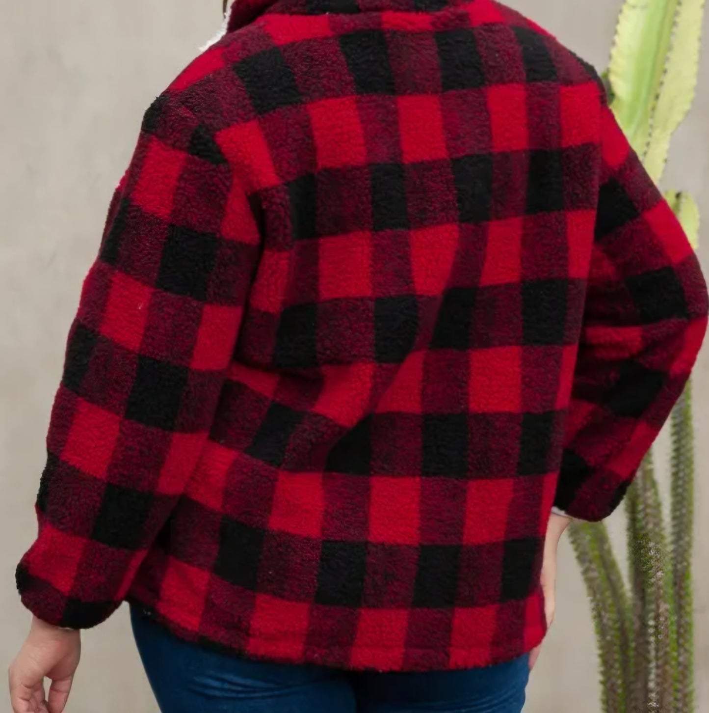 "Feeling Festive" Plus size plaid Pull over